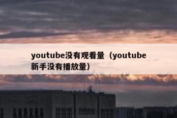 youtube没有观看量（youtube新手没有播放量）