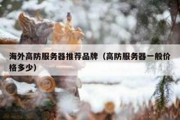海外高防服务器推荐品牌（高防服务器一般价格多少）