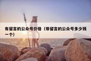有留言的公众号价格（带留言的公众号多少钱一个）