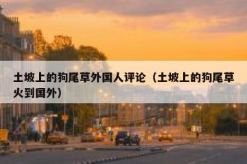 土坡上的狗尾草外国人评论（土坡上的狗尾草火到国外）
