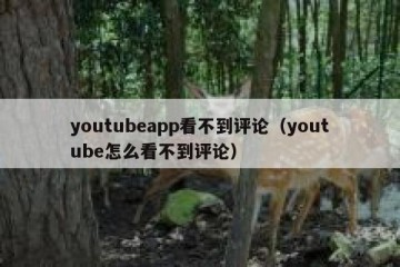 youtubeapp看不到评论（youtube怎么看不到评论）