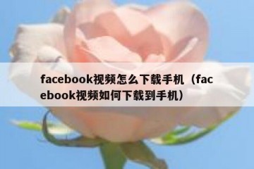 facebook视频怎么下载手机（facebook视频如何下载到手机）