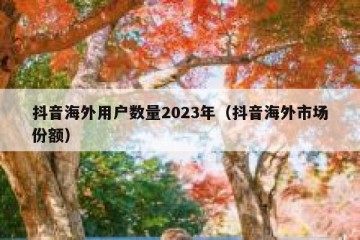 抖音海外用户数量2023年（抖音海外市场份额）