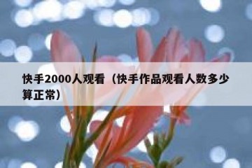 快手2000人观看（快手作品观看人数多少算正常）