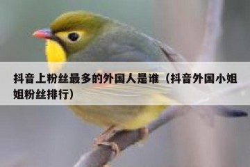 抖音上粉丝最多的外国人是谁（抖音外国小姐姐粉丝排行）