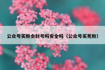 公众号买粉会封号吗安全吗（公众号买死粉）