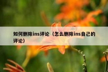 如何删除ins评论（怎么删除ins自己的评论）