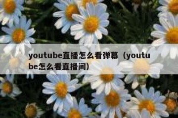 youtube直播怎么看弹幕（youtube怎么看直播间）