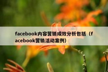 facebook内容营销成效分析包括（facebook营销活动案例）