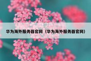 华为海外服务器官网（华为海外服务器官网）