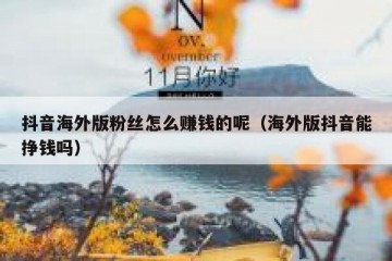 抖音海外版粉丝怎么赚钱的呢（海外版抖音能挣钱吗）