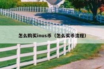 怎么购买inus币（怎么买币流程）