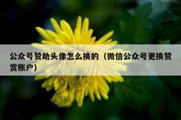 公众号赞助头像怎么换的（微信公众号更换赞赏账户）