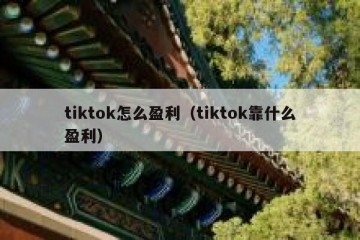 tiktok怎么盈利（tiktok靠什么盈利）