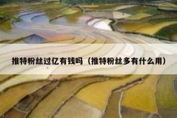 推特粉丝过亿有钱吗（推特粉丝多有什么用）