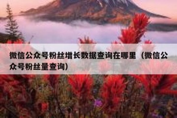 微信公众号粉丝增长数据查询在哪里（微信公众号粉丝量查询）