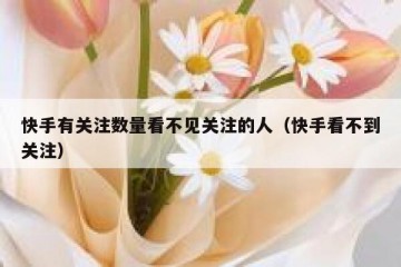 快手有关注数量看不见关注的人（快手看不到关注）