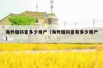 海外版抖音多少用户（海外版抖音有多少用户）