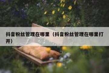 抖音粉丝管理在哪里（抖音粉丝管理在哪里打开）