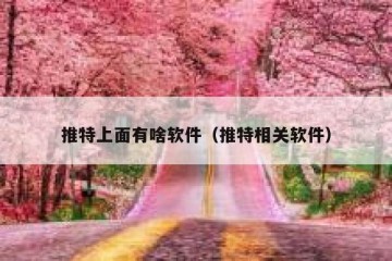 推特上面有啥软件（推特相关软件）