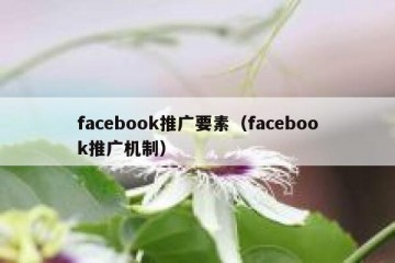 facebook推广要素（facebook推广机制）