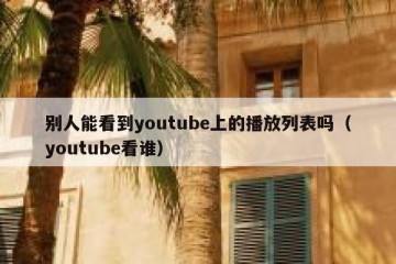 别人能看到youtube上的播放列表吗（youtube看谁）