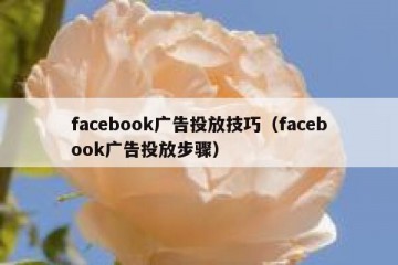 facebook广告投放技巧（facebook广告投放步骤）