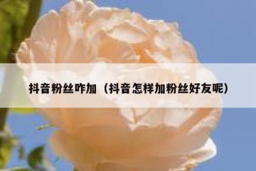 抖音粉丝咋加（抖音怎样加粉丝好友呢）