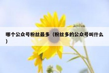 哪个公众号粉丝最多（粉丝多的公众号叫什么）