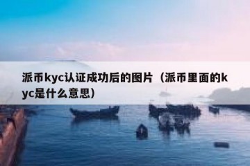 派币kyc认证成功后的图片（派币里面的kyc是什么意思）
