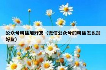 公众号粉丝加好友（微信公众号的粉丝怎么加好友）