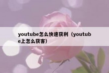 youtube怎么快速获利（youtube上怎么获客）