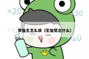 赞加王怎么读（王加赞念什么）