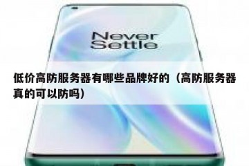 低价高防服务器有哪些品牌好的（高防服务器真的可以防吗）