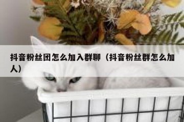 抖音粉丝团怎么加入群聊（抖音粉丝群怎么加人）