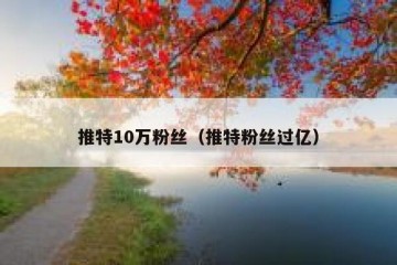 推特10万粉丝（推特粉丝过亿）