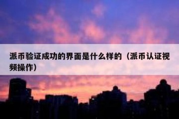 派币验证成功的界面是什么样的（派币认证视频操作）