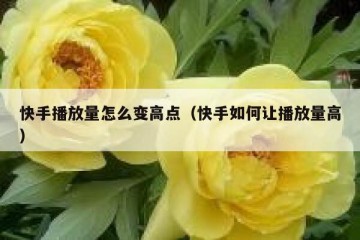 快手播放量怎么变高点（快手如何让播放量高）