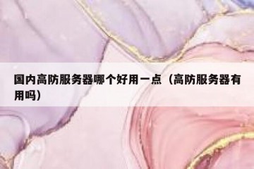 国内高防服务器哪个好用一点（高防服务器有用吗）