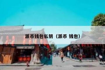 派币钱包私钥（派币 钱包）