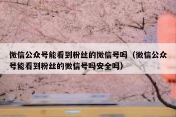 微信公众号能看到粉丝的微信号吗（微信公众号能看到粉丝的微信号吗安全吗）