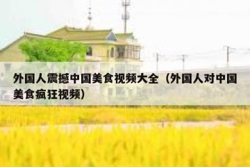 外国人震撼中国美食视频大全（外国人对中国美食疯狂视频）