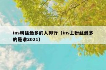 ins粉丝最多的人排行（ins上粉丝最多的是谁2021）