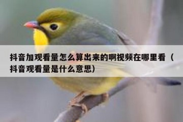 抖音加观看量怎么算出来的啊视频在哪里看（抖音观看量是什么意思）