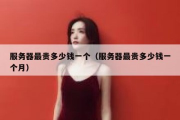 服务器最贵多少钱一个（服务器最贵多少钱一个月）