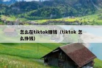 怎么在tiktok赚钱（tiktok 怎么挣钱）