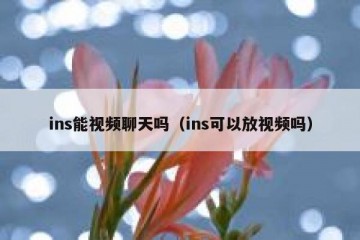 ins能视频聊天吗（ins可以放视频吗）