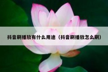 抖音刷播放有什么用途（抖音刷播放怎么刷）