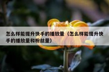 怎么样能提升快手的播放量（怎么样能提升快手的播放量和粉丝量）