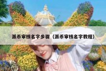 派币审核名字步骤（派币审核名字教程）